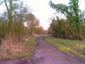 Green Lane
